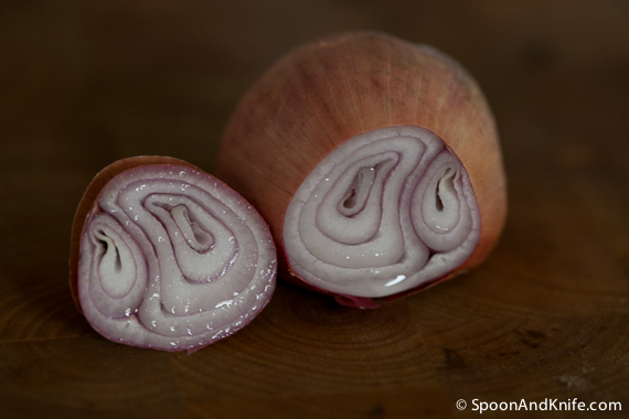 Shallot